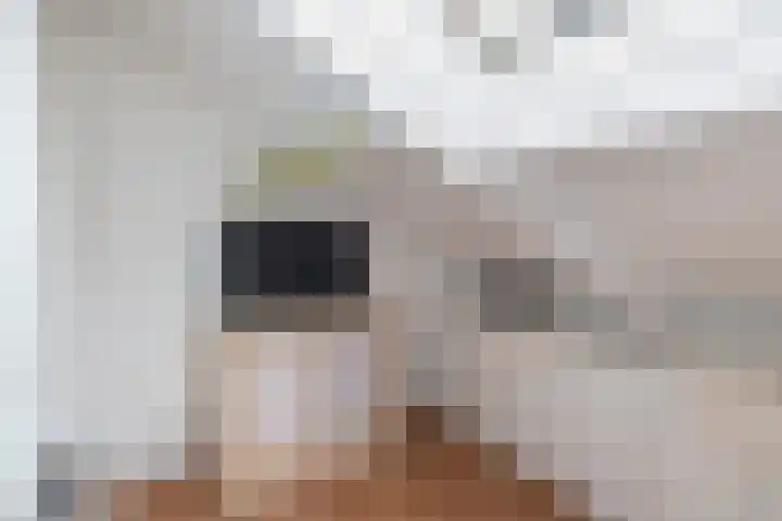 Sallandlaan 56 Eindhoven thumbnail 27