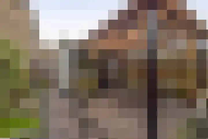 Sallandlaan 56 Eindhoven thumbnail 30