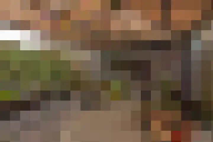 Sallandlaan 56 Eindhoven thumbnail 31