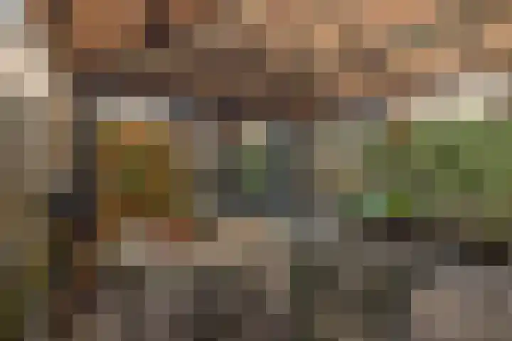 Sallandlaan 56 Eindhoven thumbnail 32