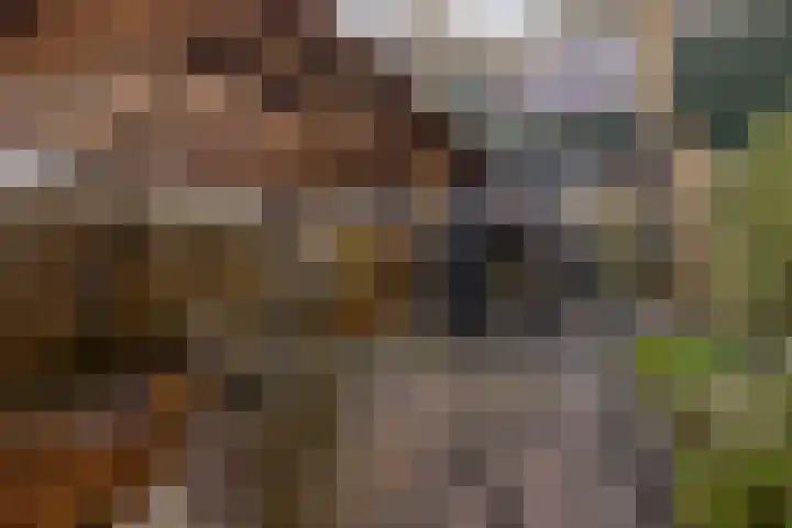 Sallandlaan 56 Eindhoven thumbnail 33