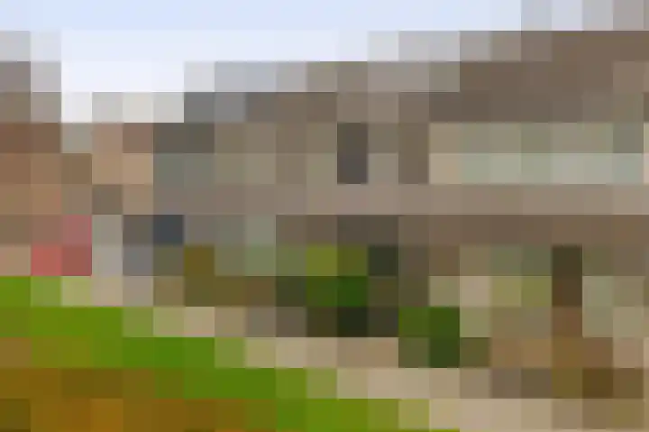 Sallandlaan 56 Eindhoven thumbnail 36