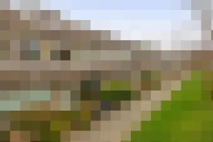 Sallandlaan 56 Eindhoven thumbnail 39
