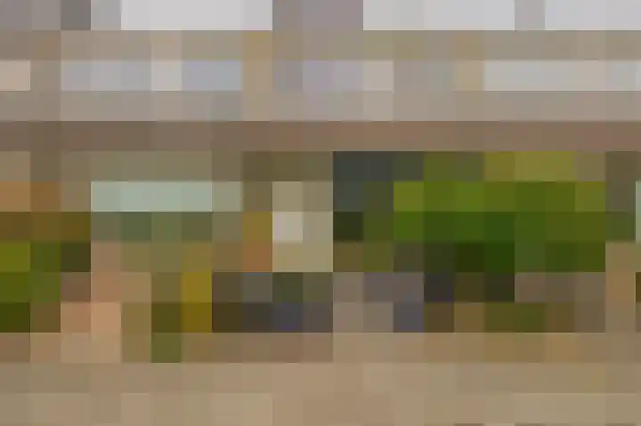 Sallandlaan 56 Eindhoven thumbnail 5