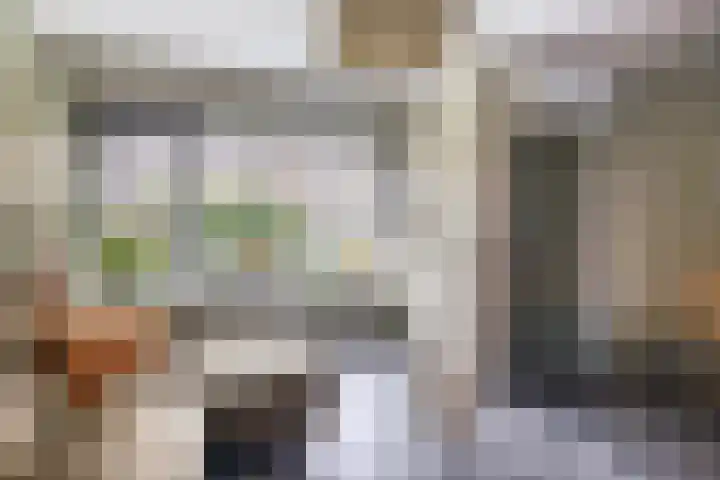 Sallandlaan 56 Eindhoven thumbnail 8