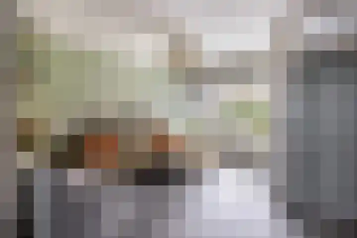 Sallandlaan 56 Eindhoven thumbnail 9