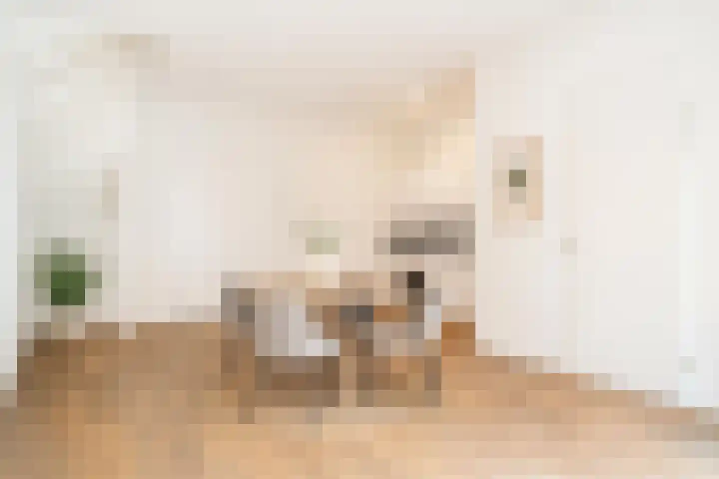 Sallandsestraat 8 Coevorden thumbnail 10