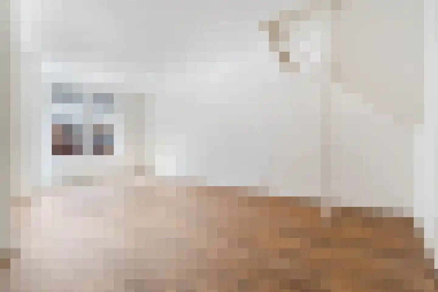 Sallandsestraat 8 Coevorden thumbnail 14