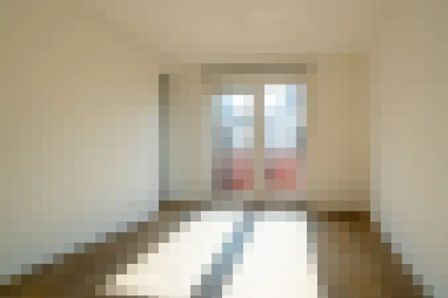 Sallandsestraat 8 Coevorden thumbnail 18