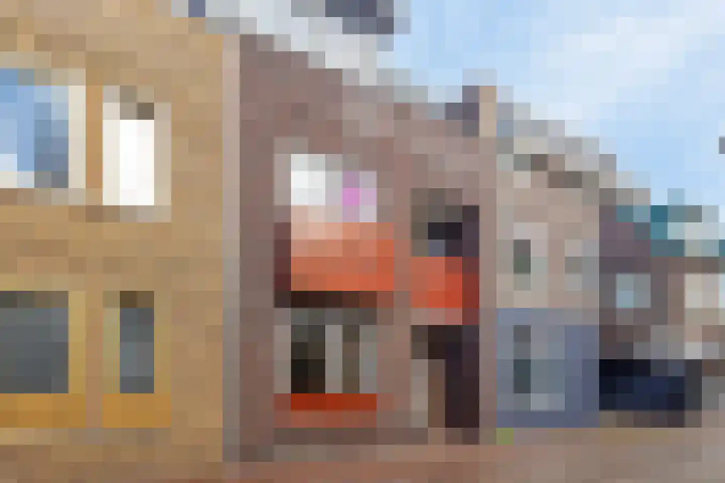 Sallandsestraat 8 Coevorden foto 2