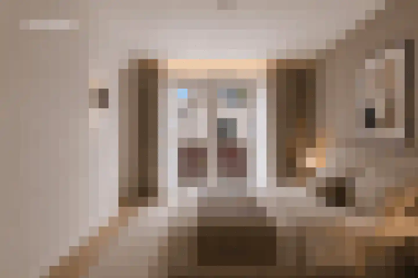 Sallandsestraat 8 Coevorden thumbnail 20