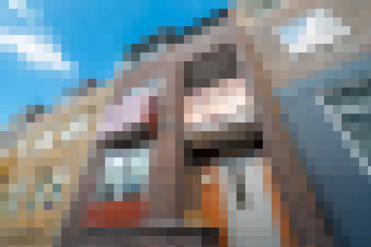 Sallandsestraat 8 Coevorden thumbnail 4