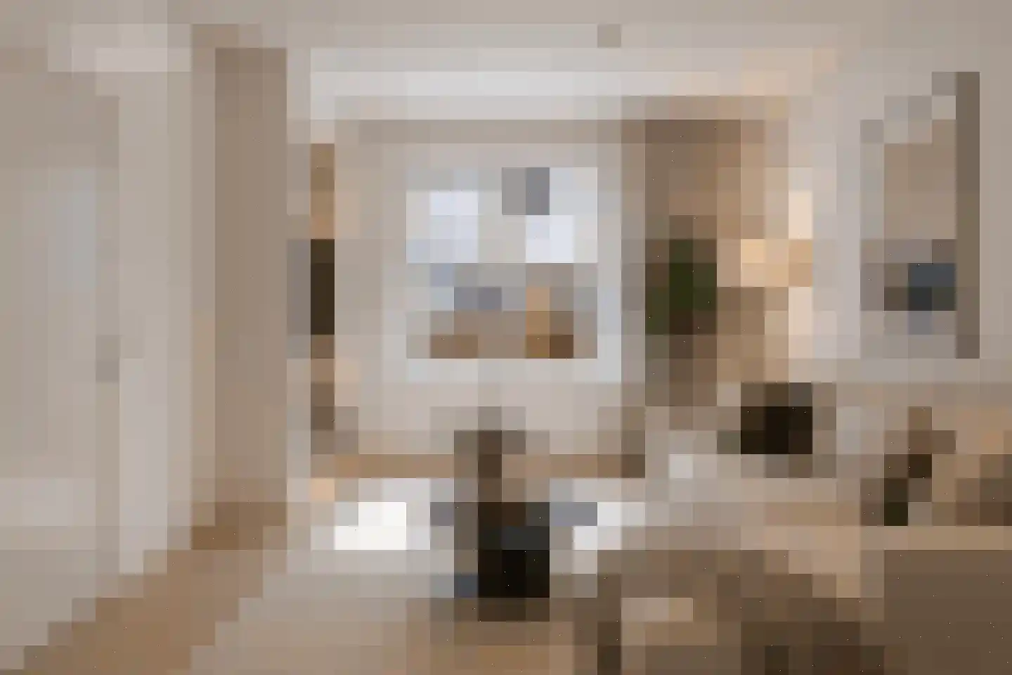 Sallandsestraat 8 Coevorden thumbnail 8