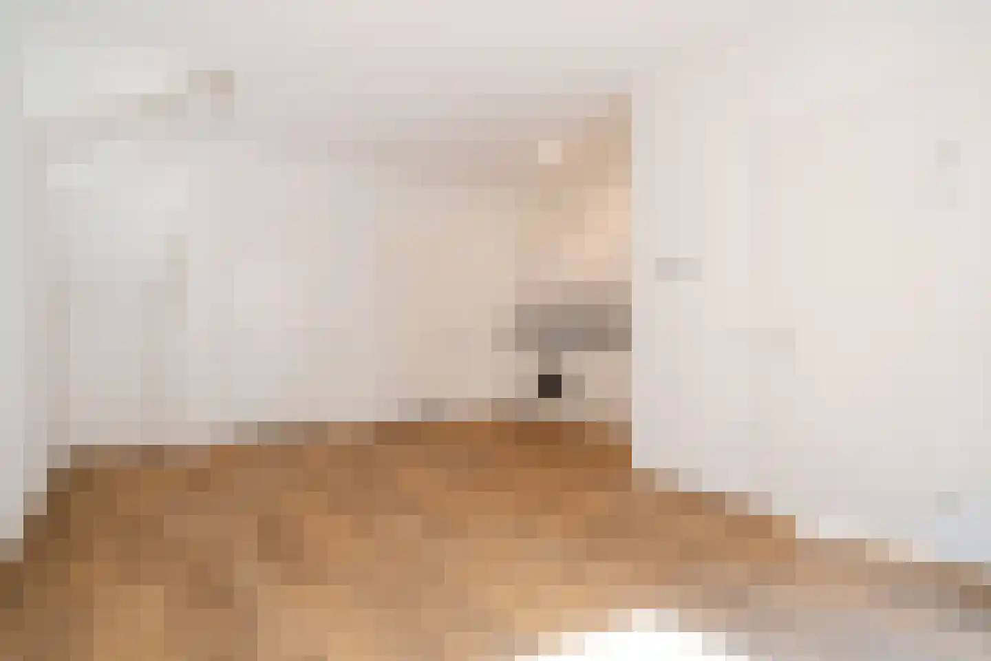 Sallandsestraat 8 Coevorden thumbnail 9