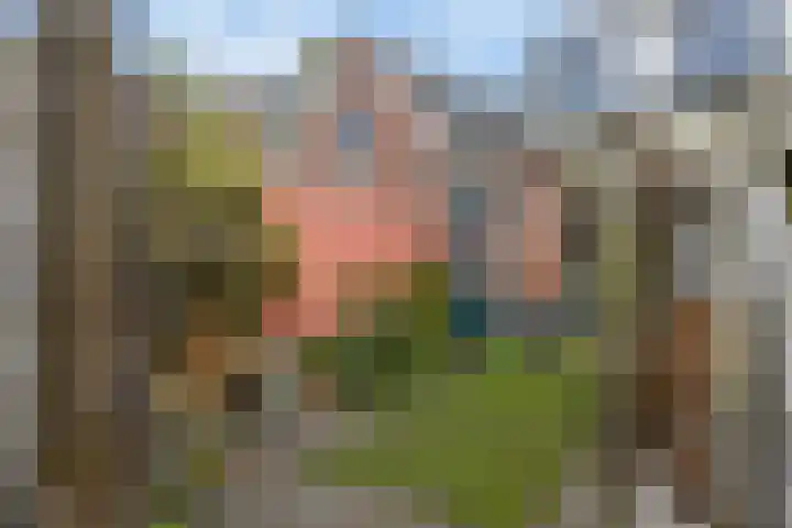 Sallandstraat 36 Deventer thumbnail 37