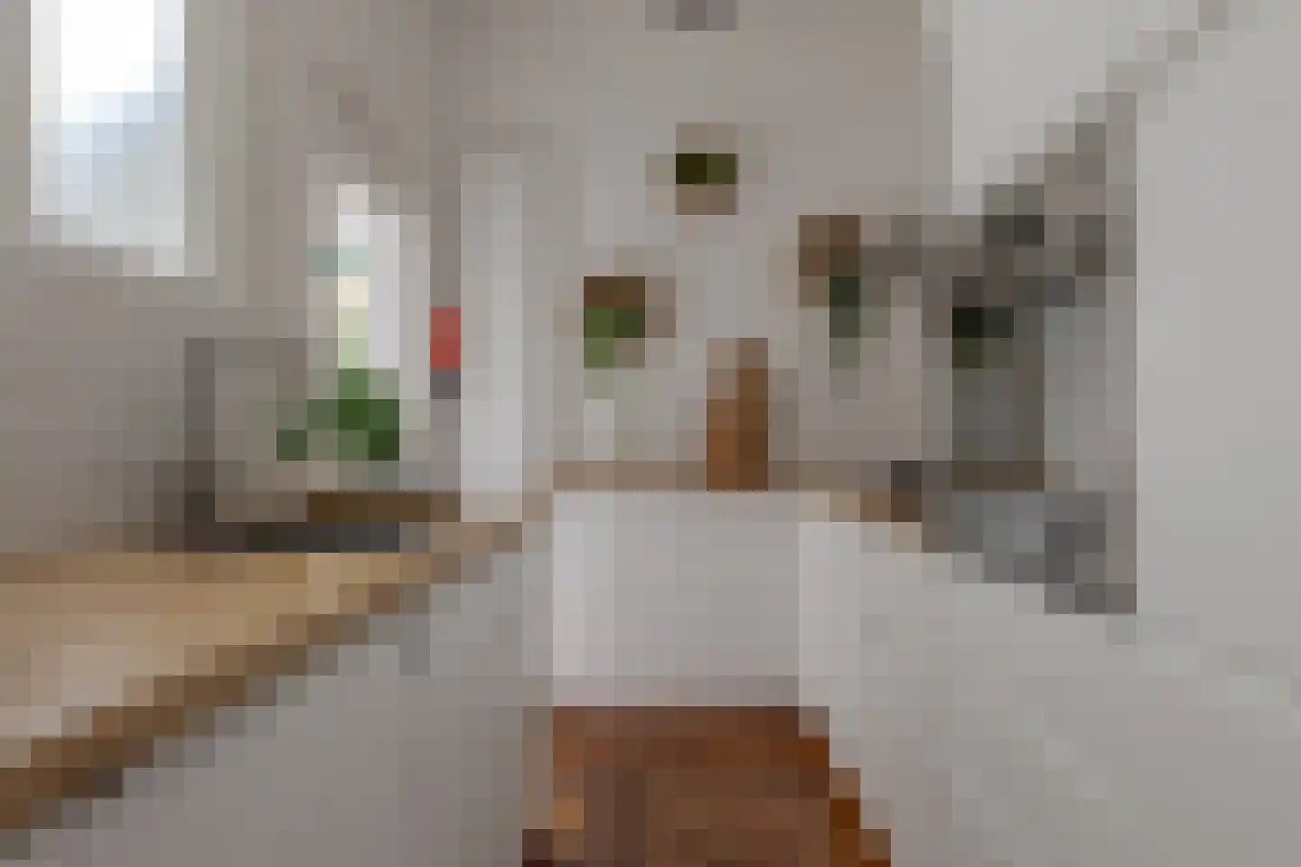 Sallandstraat 4 Zwolle thumbnail 17