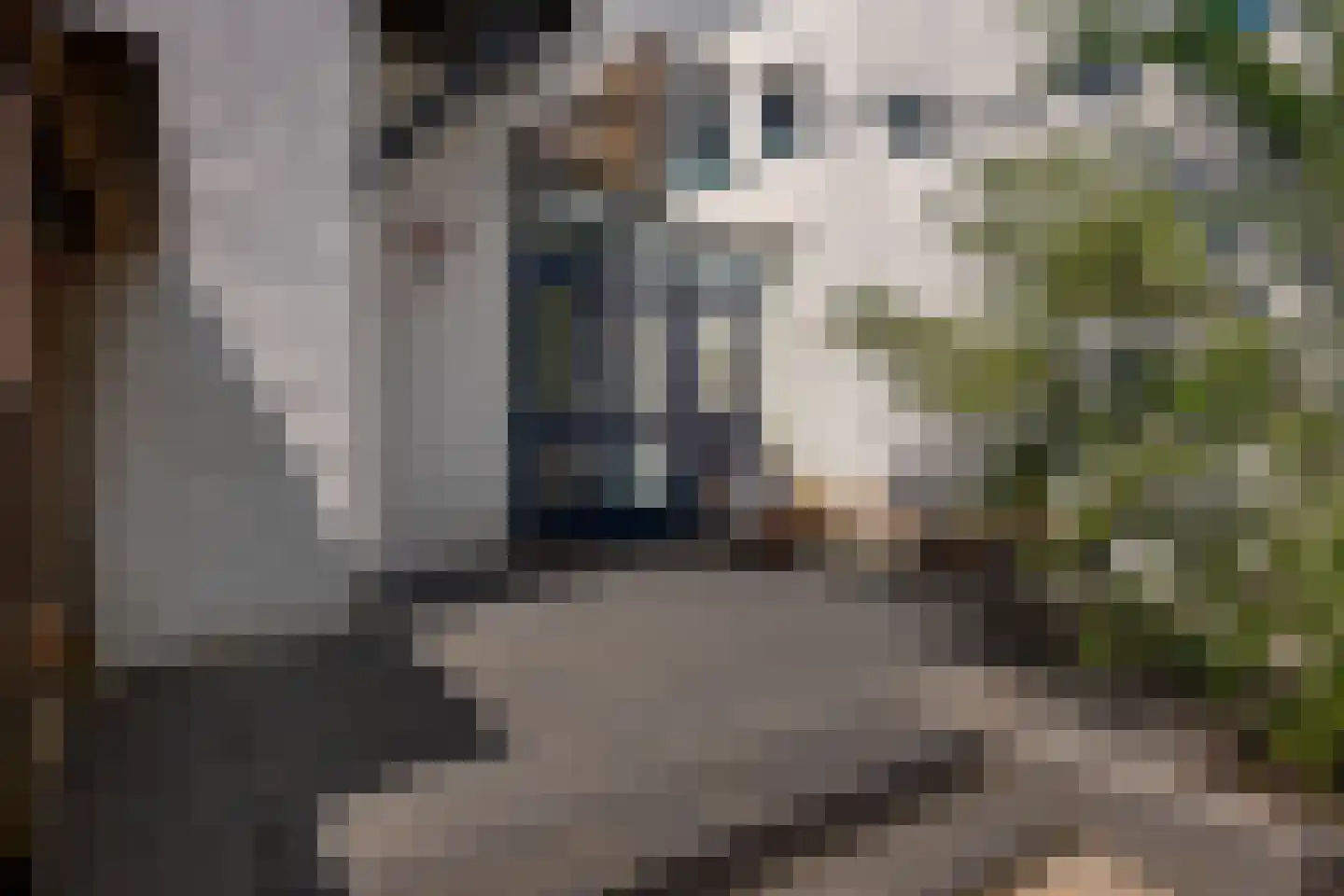 Sallandstraat 4 Zwolle thumbnail 29