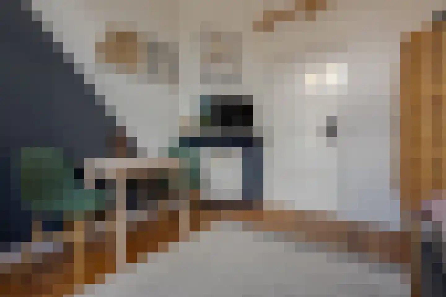 Sallandstraat 4 Zwolle thumbnail 35