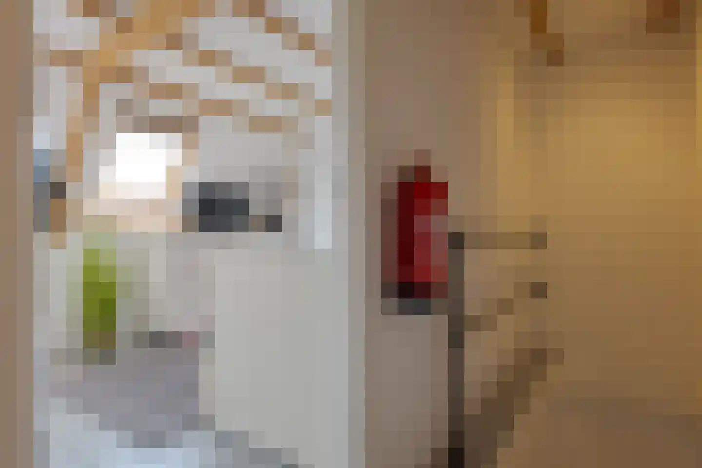 Sallandstraat 4 Zwolle thumbnail 44