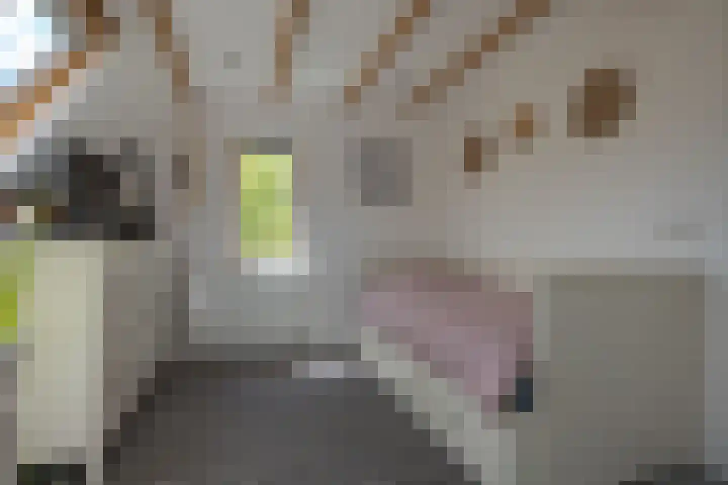 Sallandstraat 4 Zwolle thumbnail 46