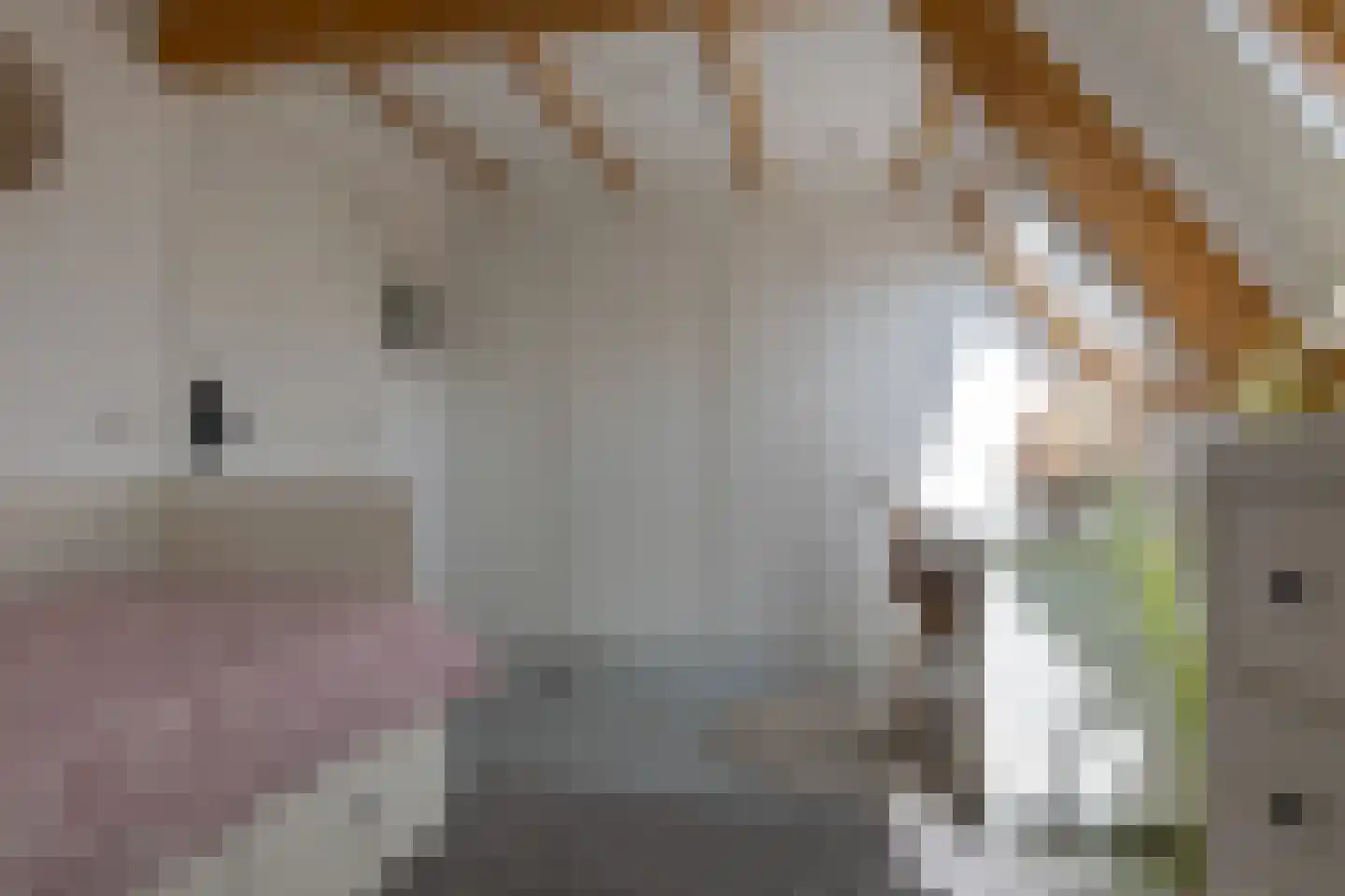Sallandstraat 4 Zwolle thumbnail 47