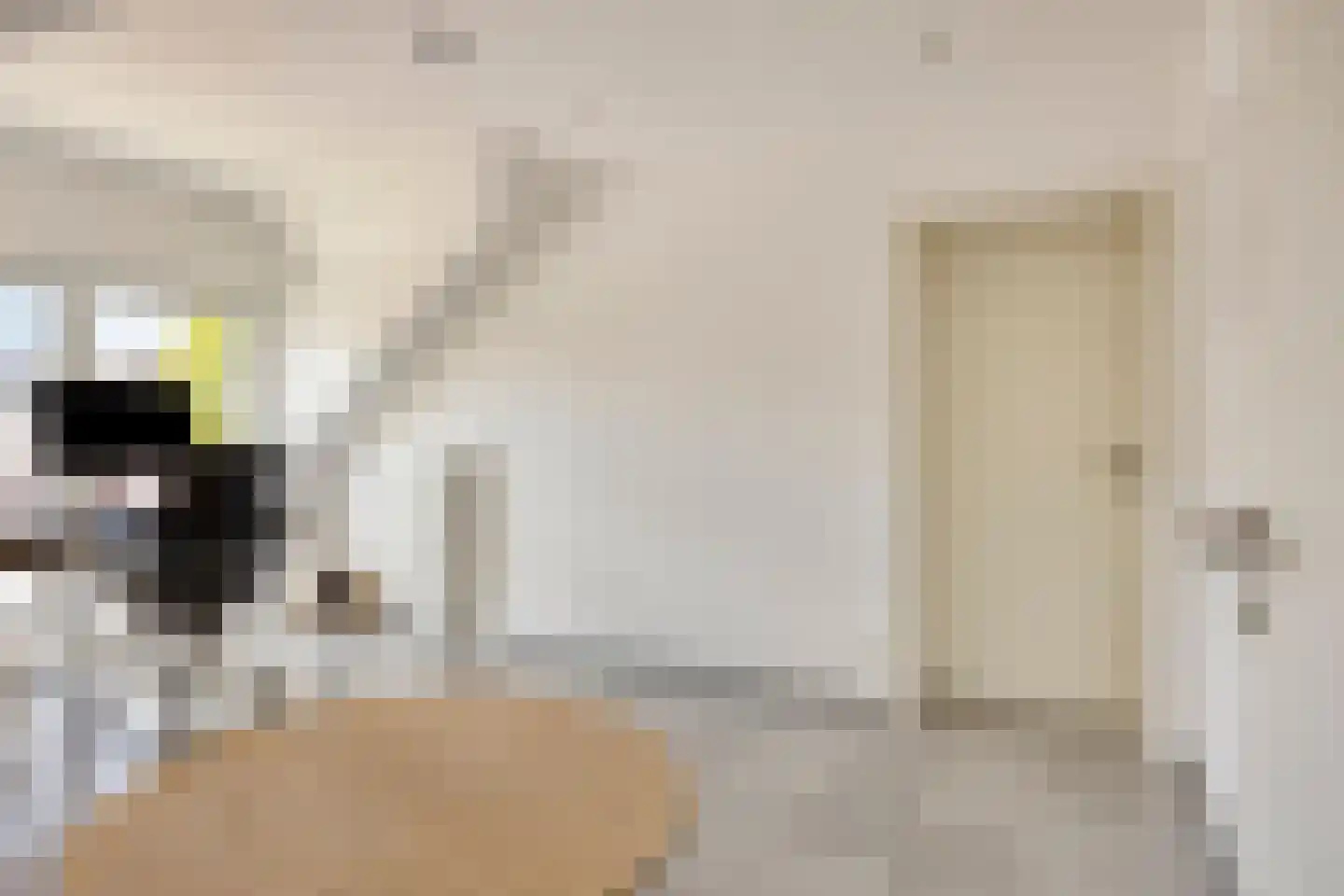 Sallandstraat 8 Sittard thumbnail 34