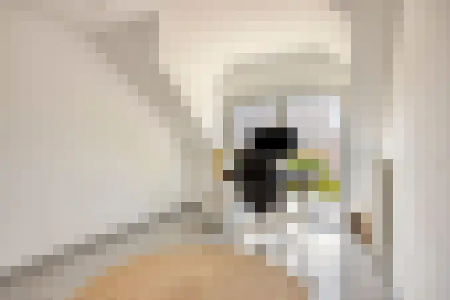 Sallandstraat 8 Sittard thumbnail 35