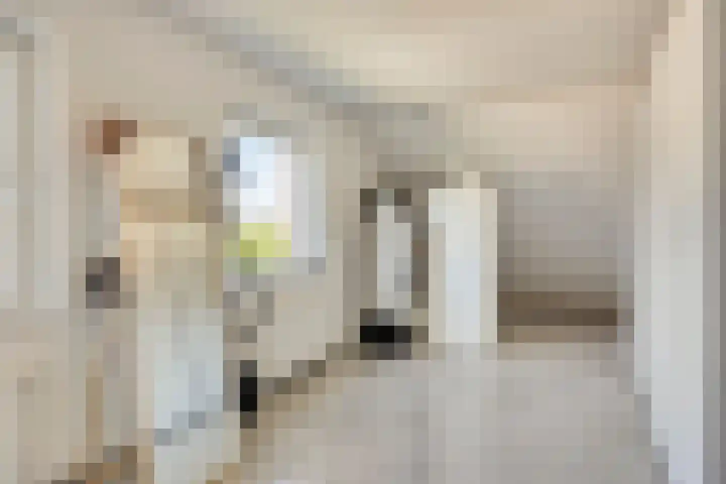 Sallandstraat 8 Sittard thumbnail 43