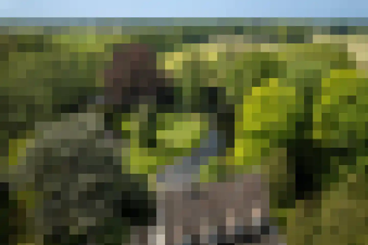 Sallandsweg 9 Diepenveen thumbnail 10