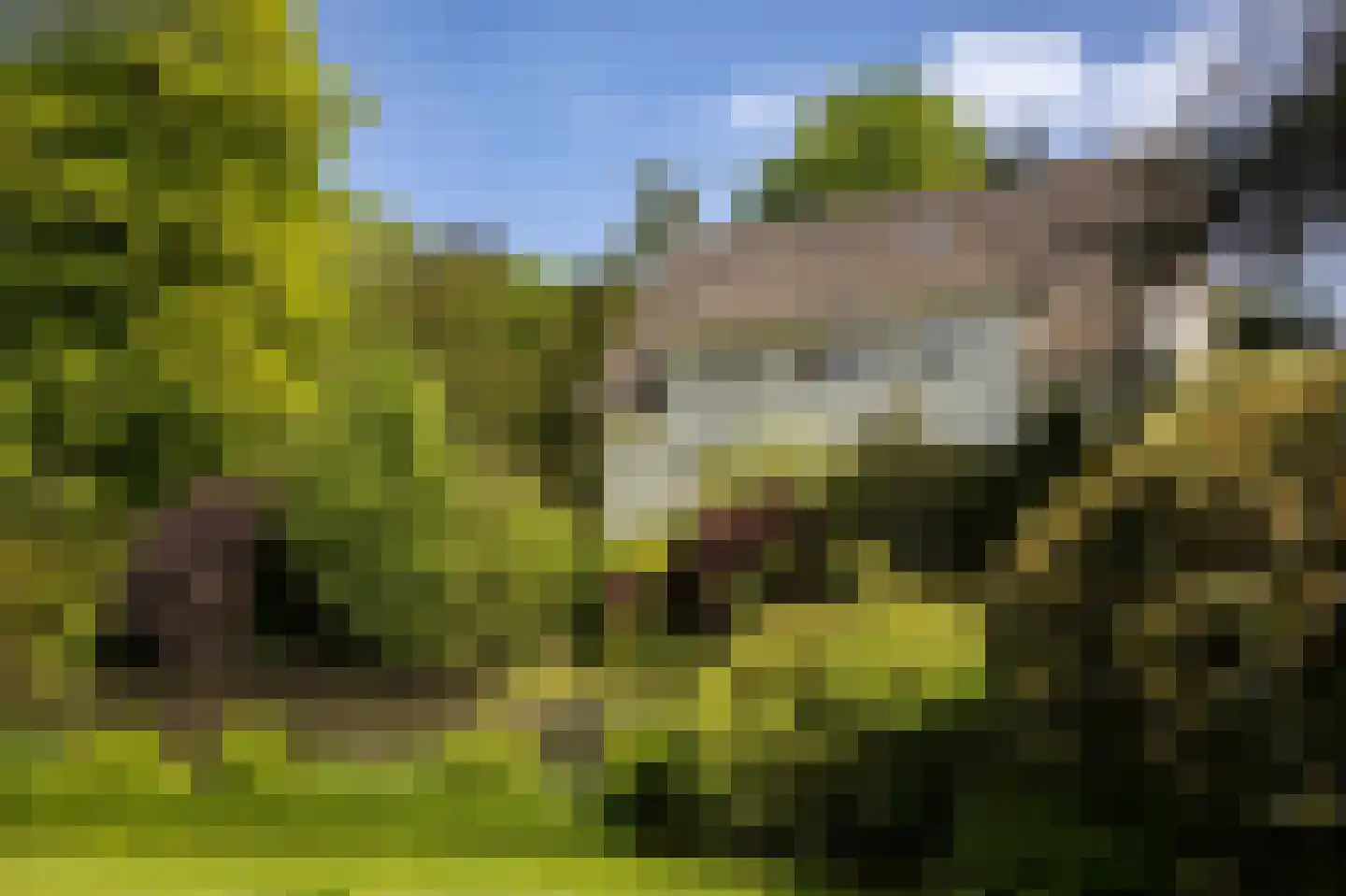 Sallandsweg 9 Diepenveen thumbnail 11
