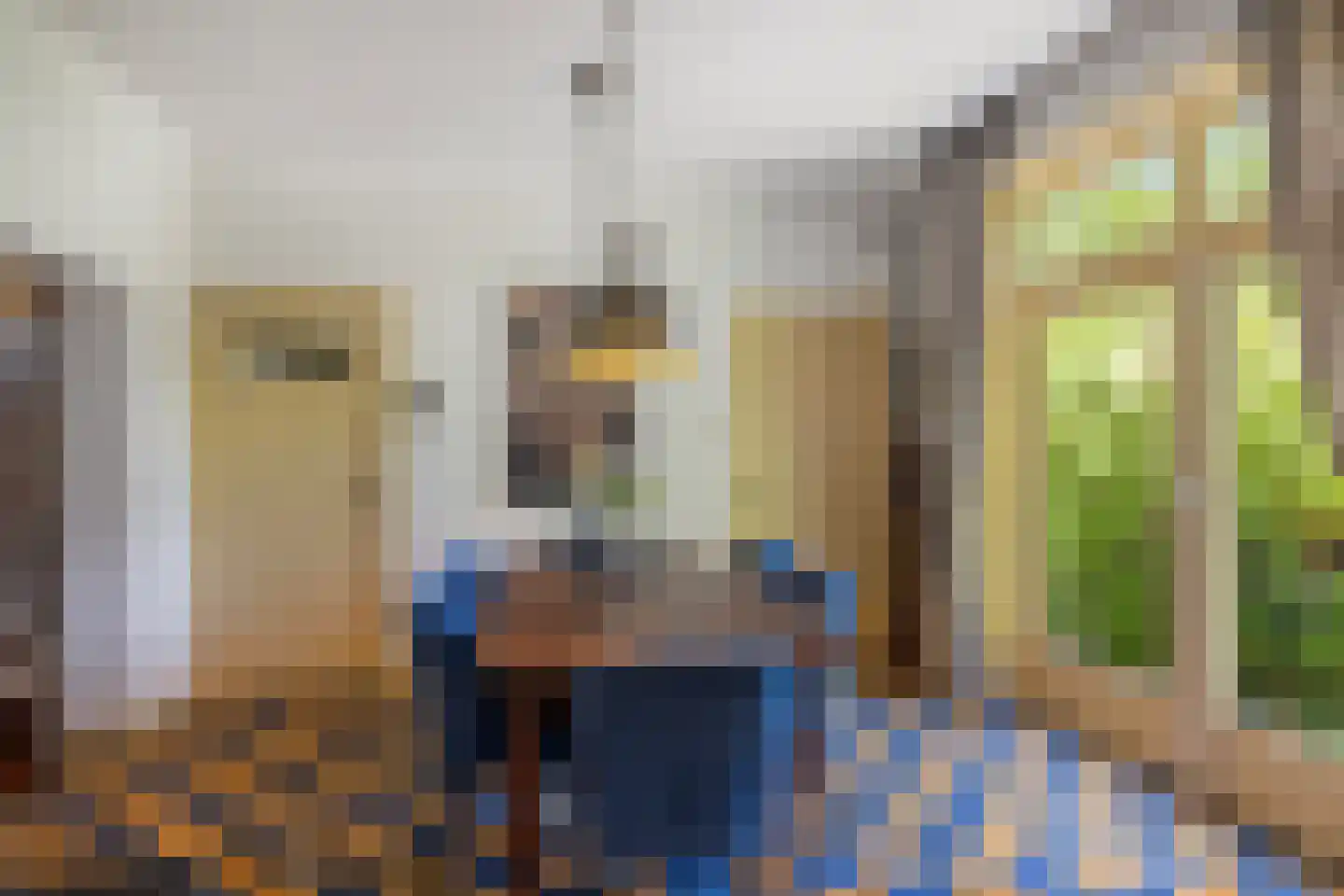 Sallandsweg 9 Diepenveen thumbnail 18