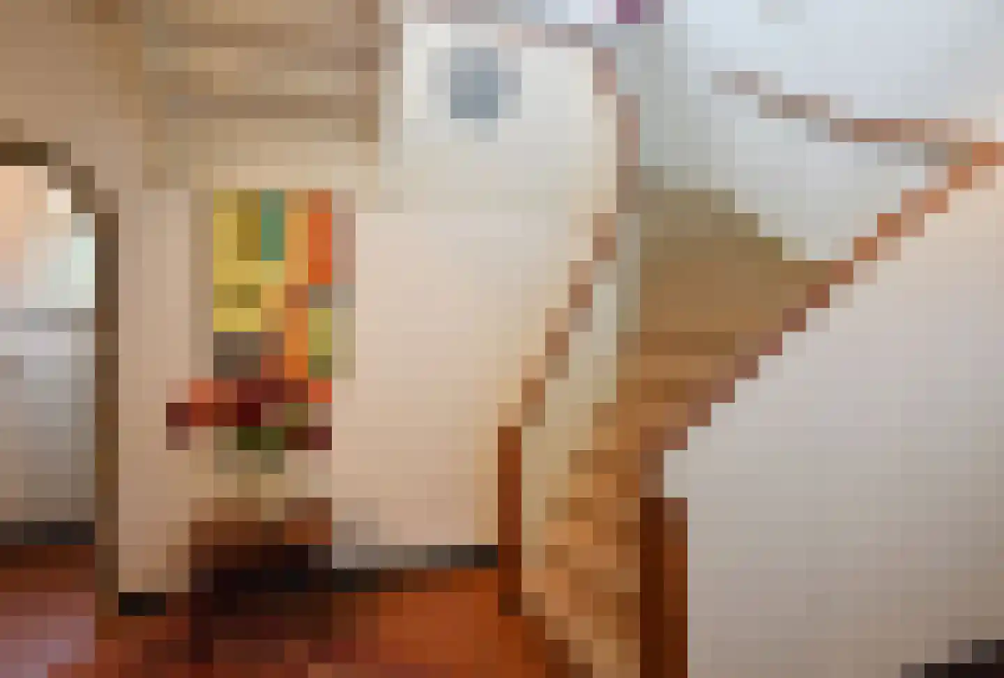 Sallandsweg 9 Diepenveen thumbnail 20