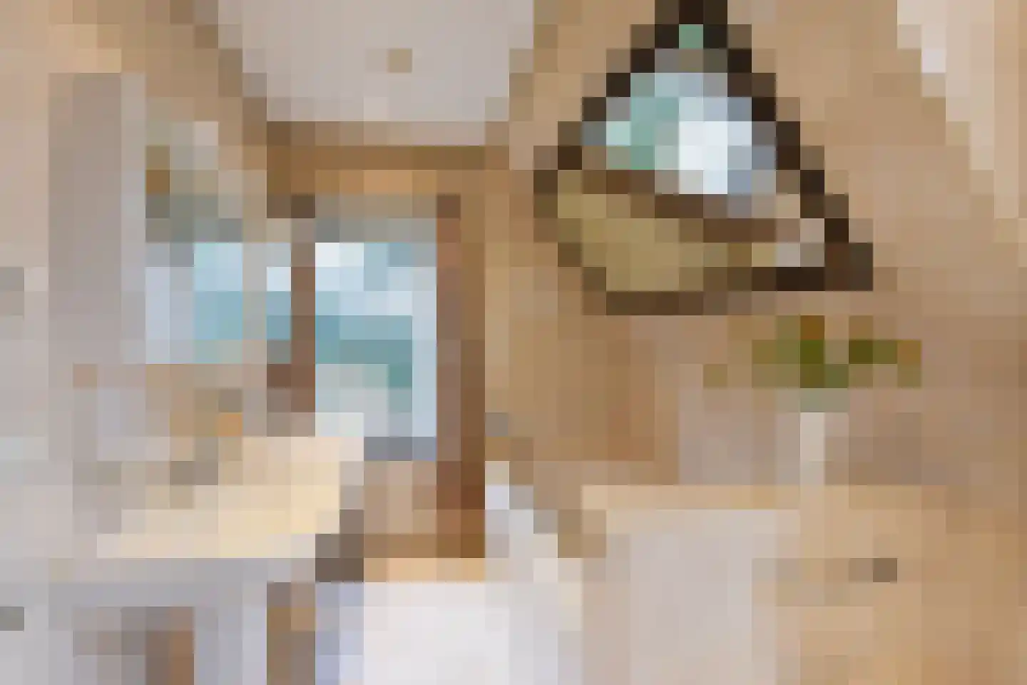 Sallandsweg 9 Diepenveen thumbnail 24