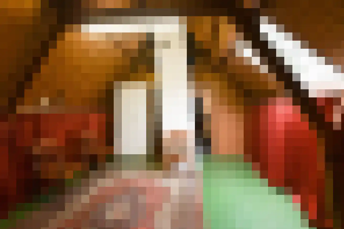 Sallandsweg 9 Diepenveen thumbnail 30