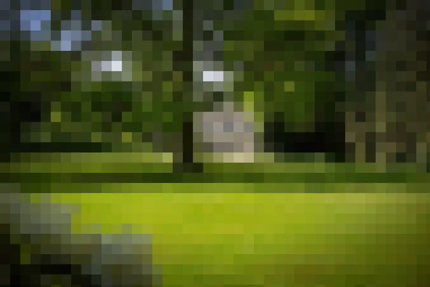 Sallandsweg 9 Diepenveen thumbnail 35
