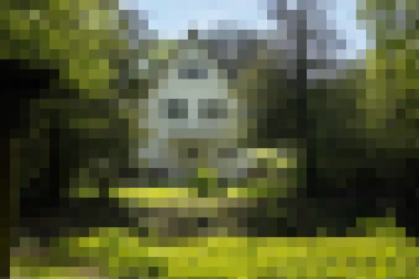 Sallandsweg 9 Diepenveen thumbnail 37