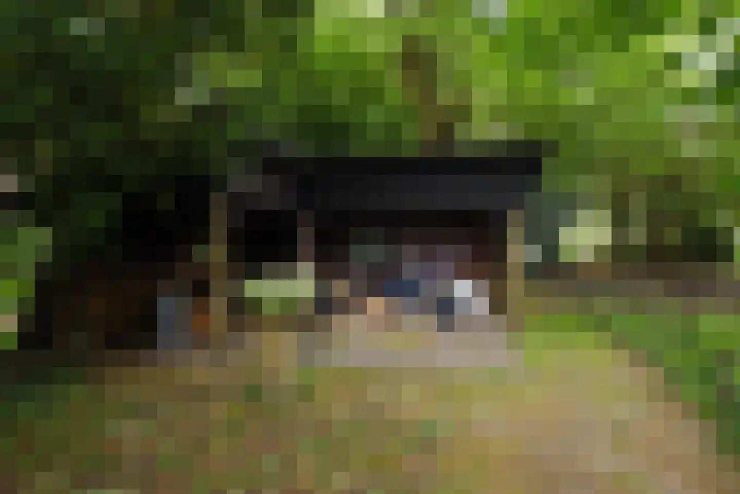 Sallandsweg 9 Diepenveen thumbnail 38