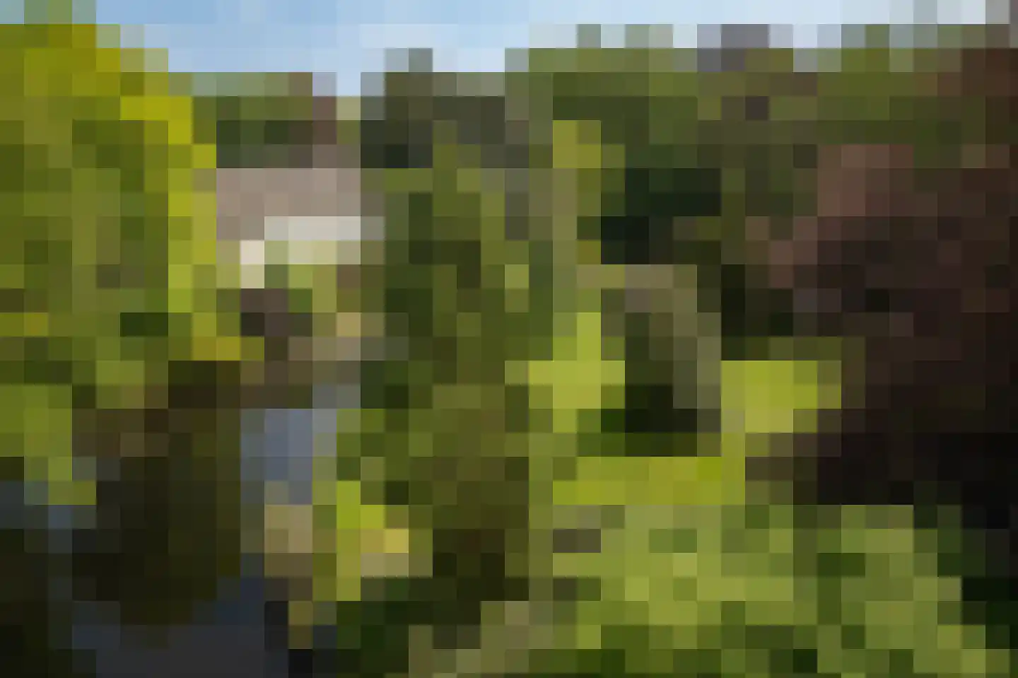 Sallandsweg 9 Diepenveen thumbnail 39