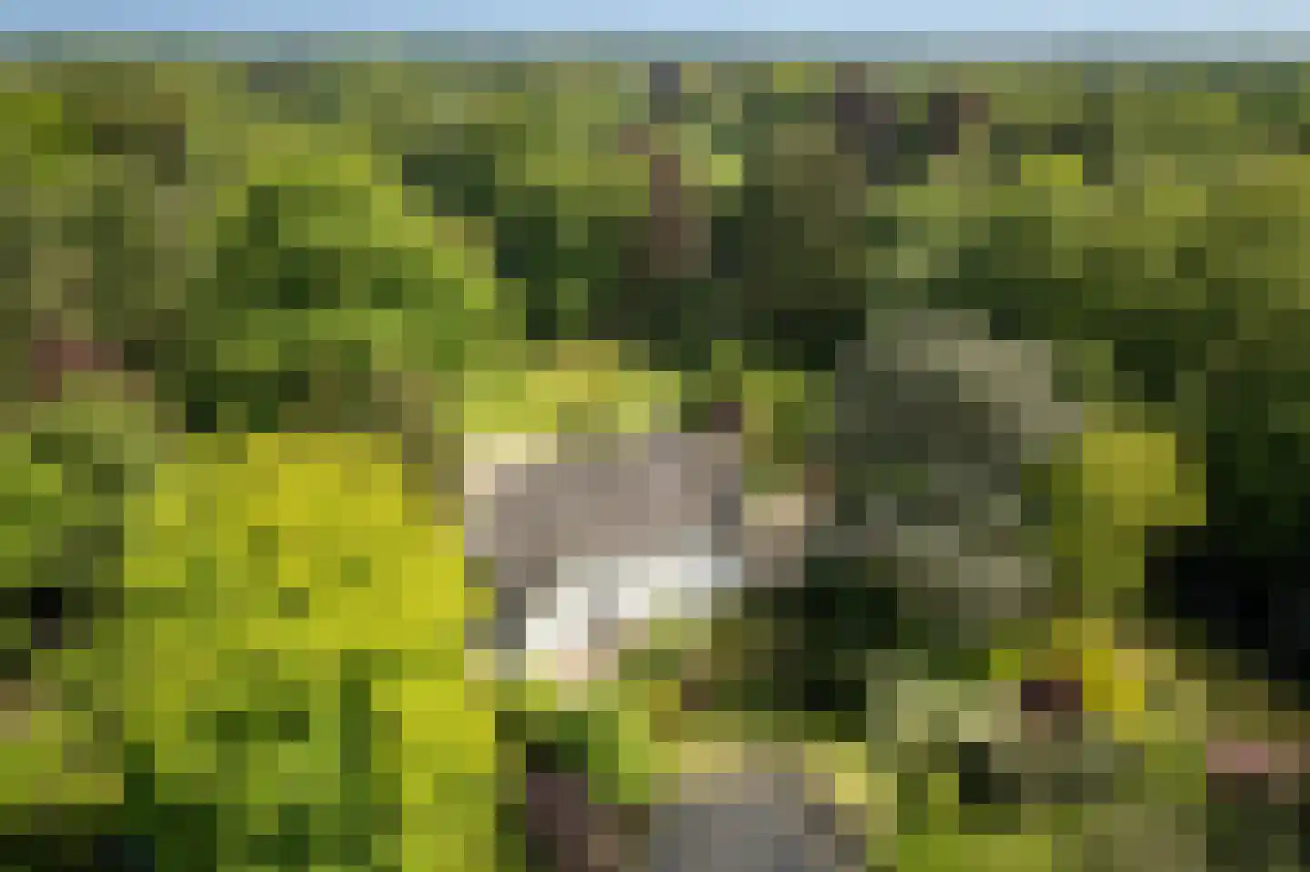 Sallandsweg 9 Diepenveen thumbnail 4