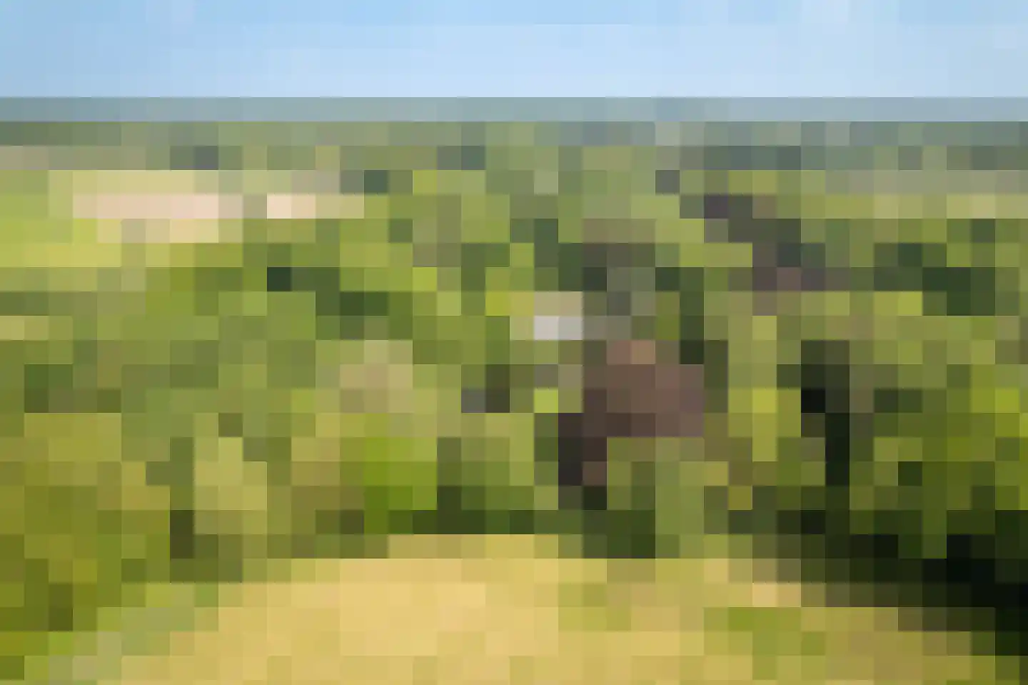 Sallandsweg 9 Diepenveen thumbnail 40