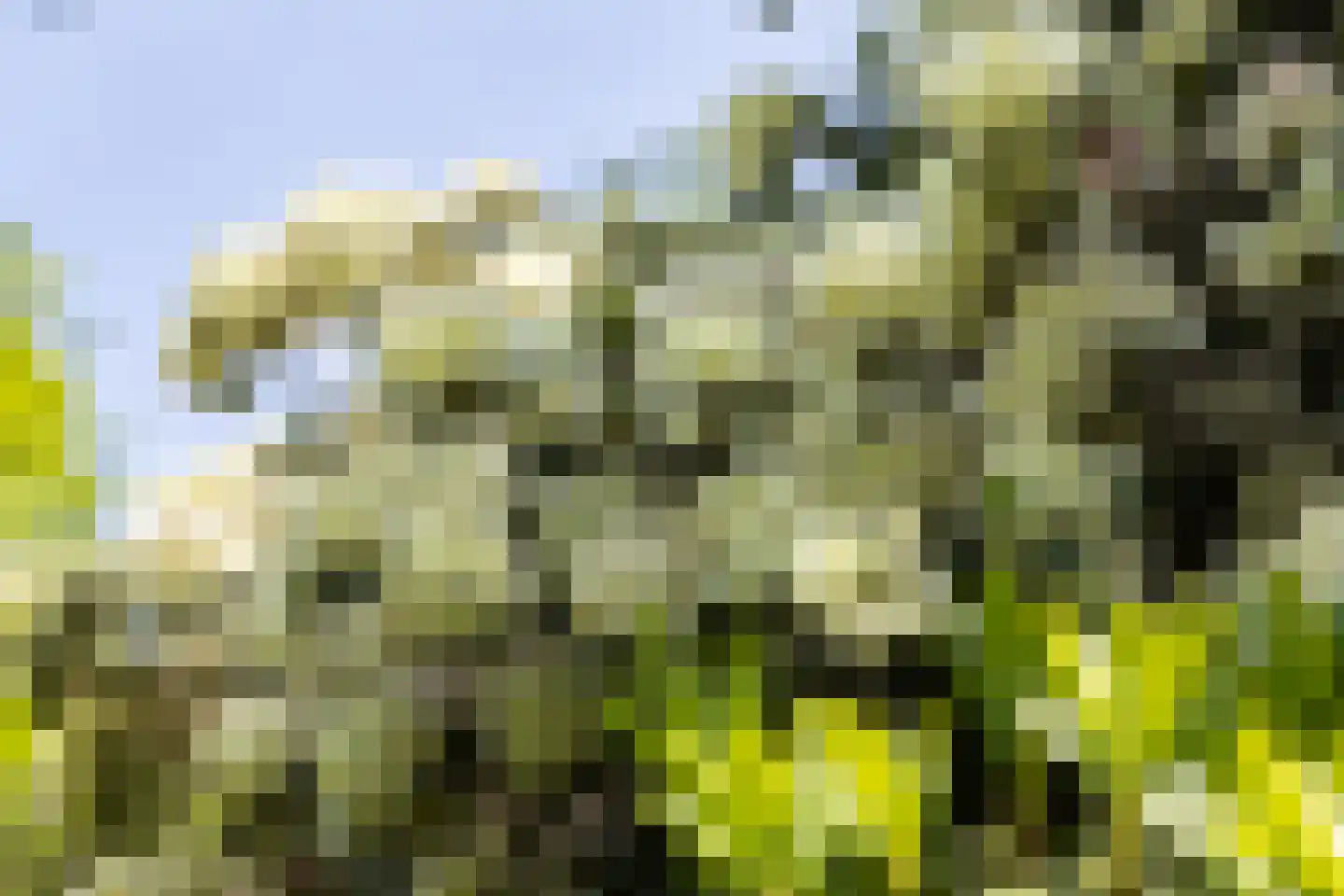 Sallandsweg 9 Diepenveen thumbnail 41