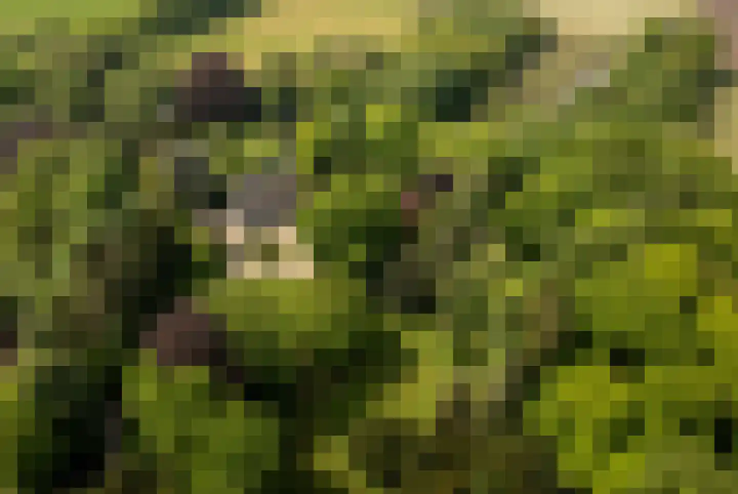 Sallandsweg 9 Diepenveen thumbnail 42