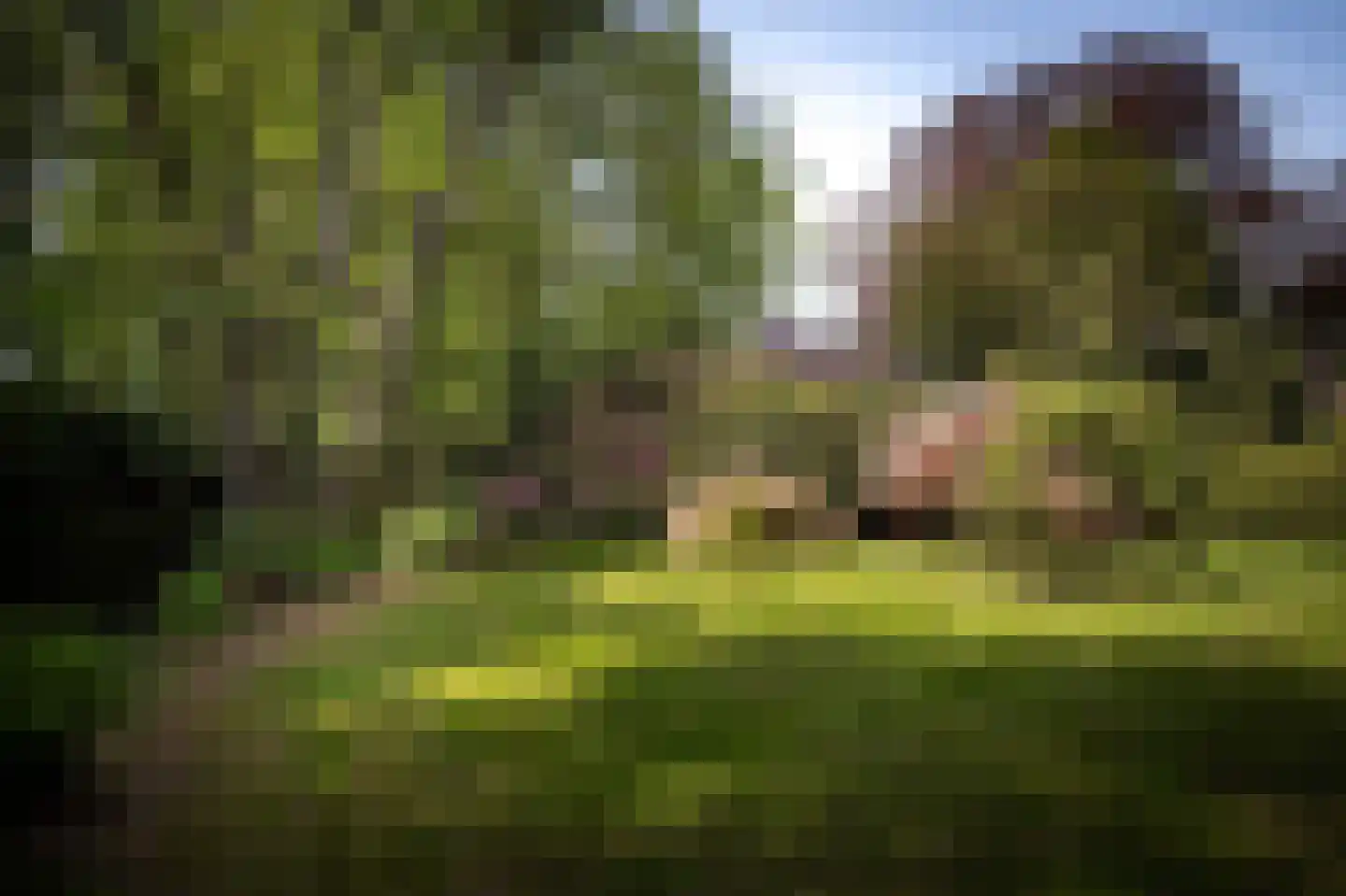 Sallandsweg 9 Diepenveen thumbnail 43