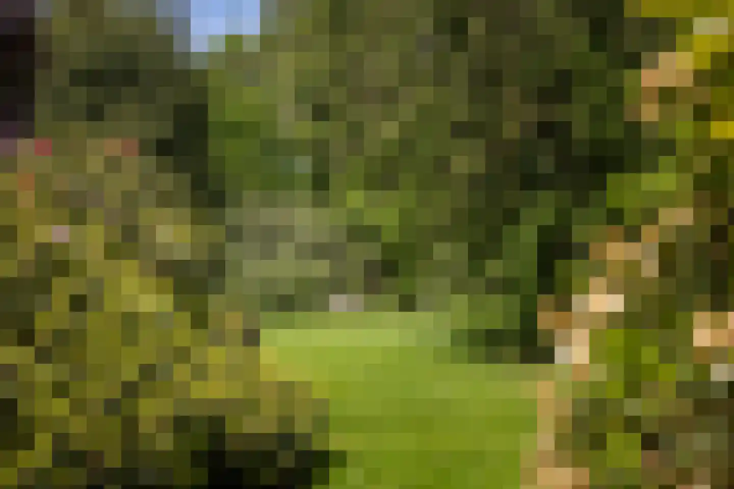 Sallandsweg 9 Diepenveen thumbnail 44