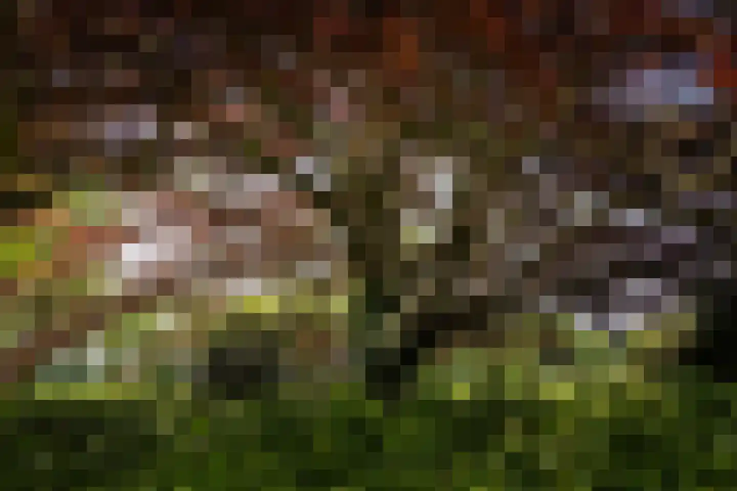 Sallandsweg 9 Diepenveen thumbnail 45