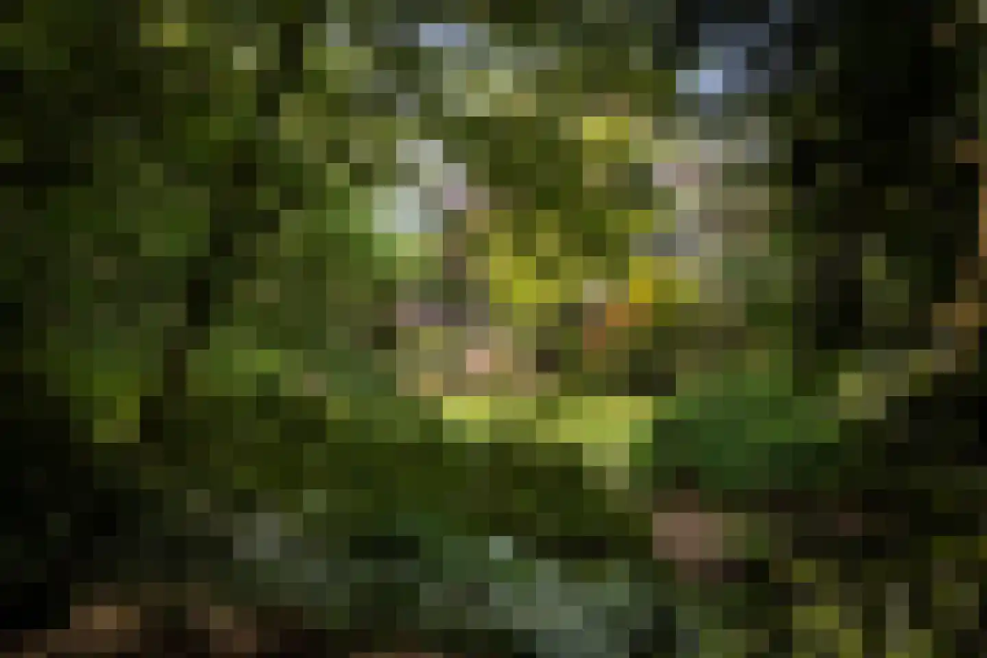 Sallandsweg 9 Diepenveen thumbnail 47