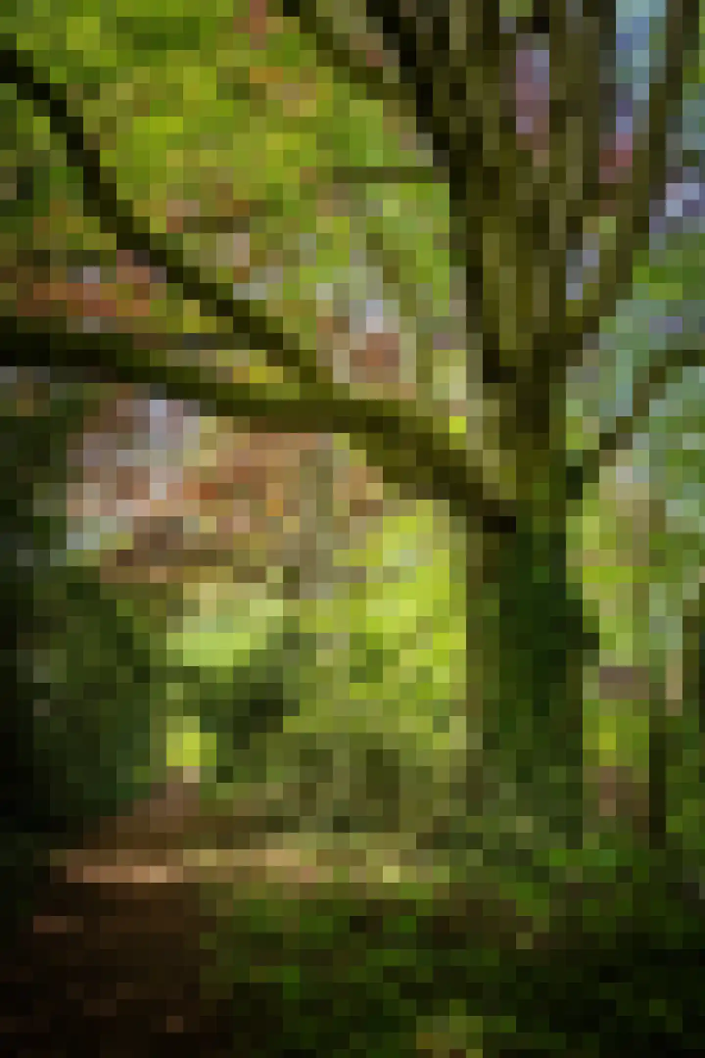 Sallandsweg 9 Diepenveen thumbnail 48