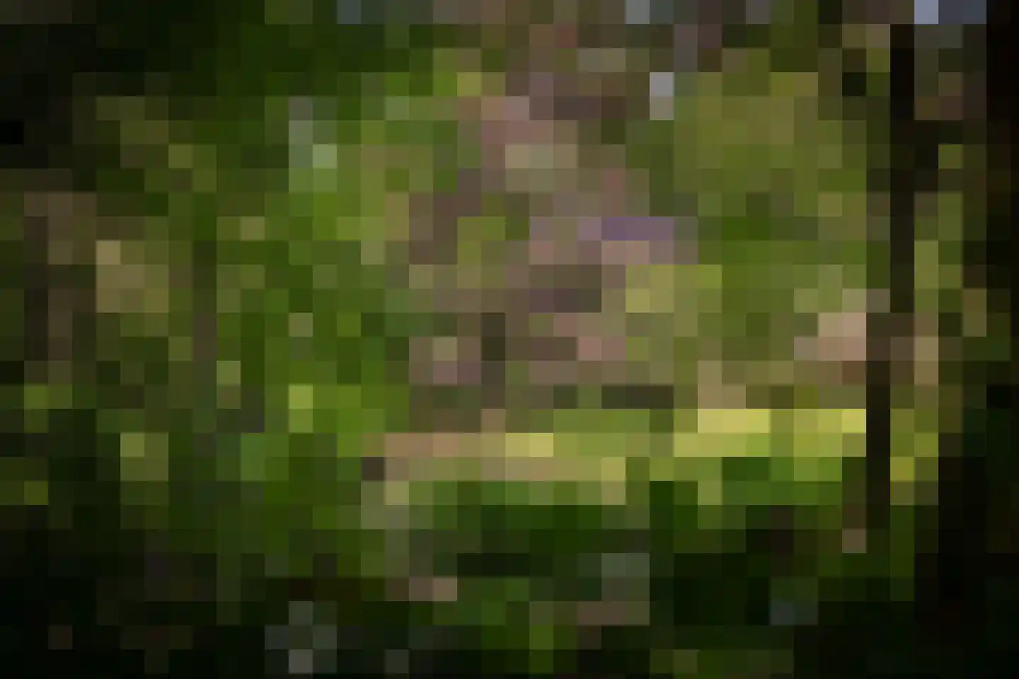 Sallandsweg 9 Diepenveen thumbnail 49