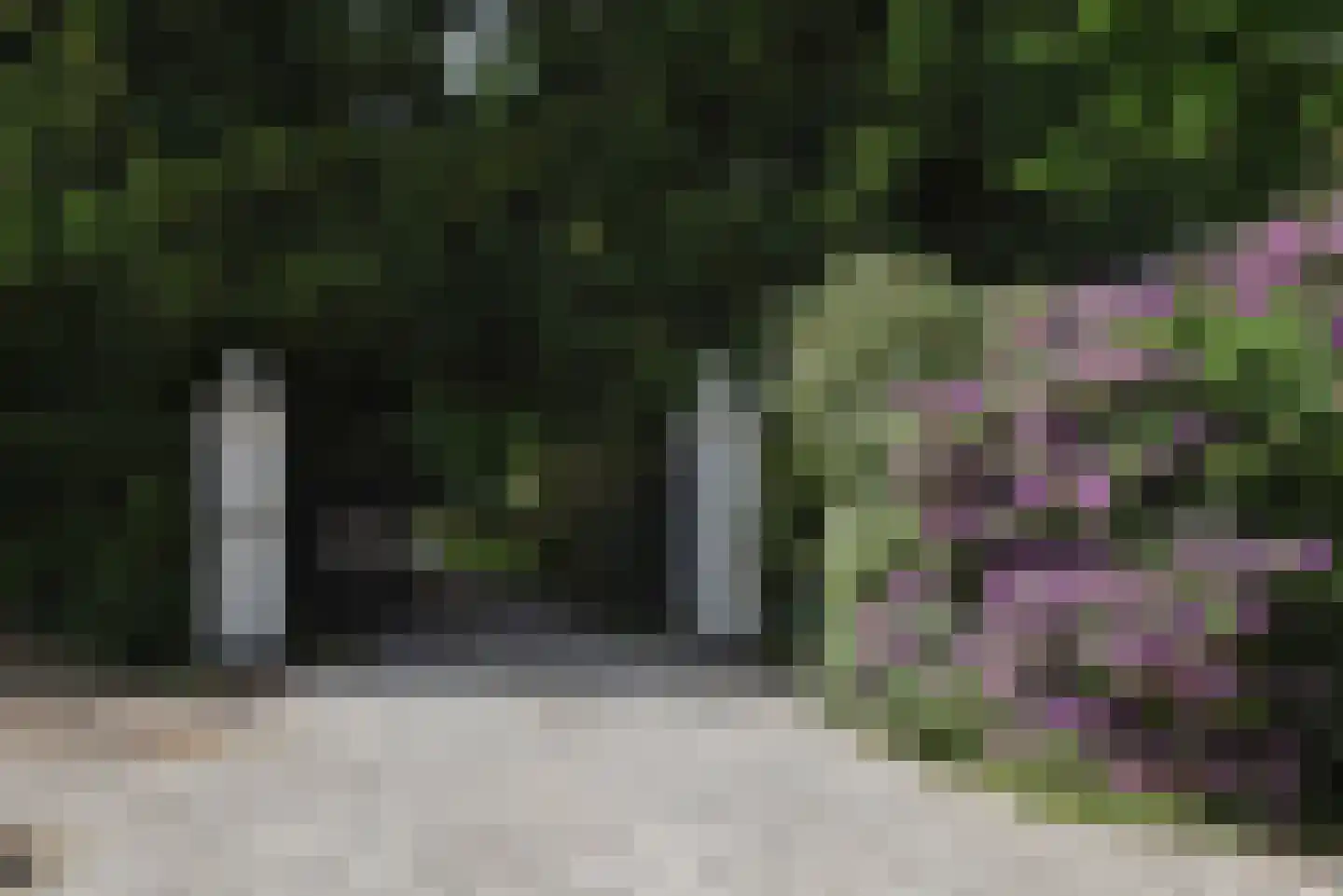 Sallandsweg 9 Diepenveen thumbnail 5