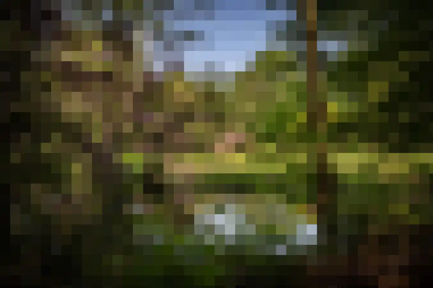 Sallandsweg 9 Diepenveen thumbnail 50